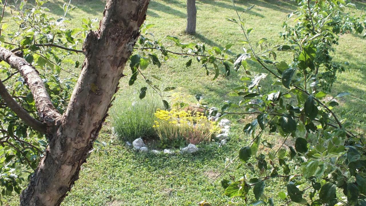 Guest House Ema Grabovac  Zewnętrze zdjęcie