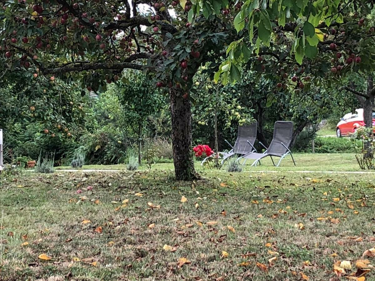 Guest House Ema Grabovac  Zewnętrze zdjęcie