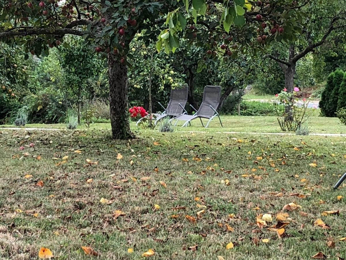 Guest House Ema Grabovac  Zewnętrze zdjęcie