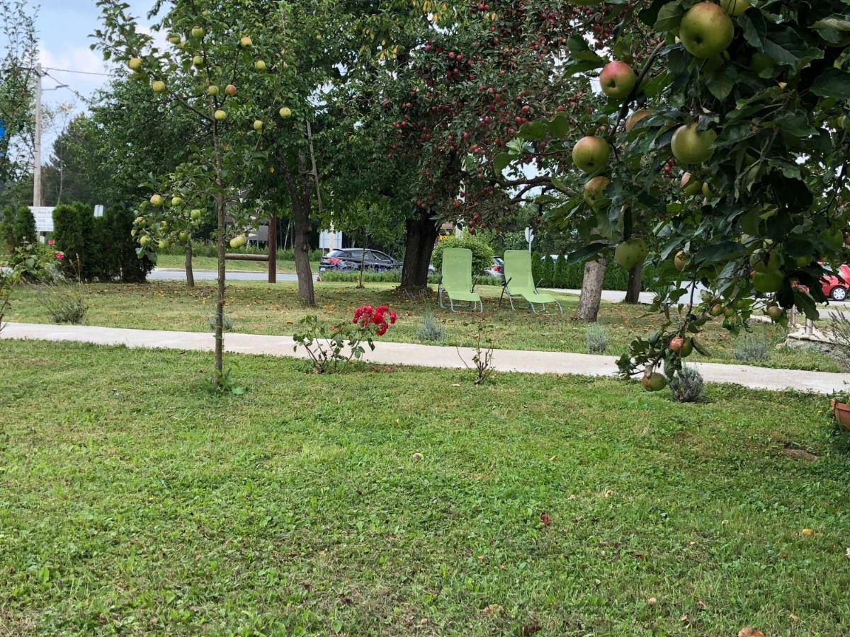 Guest House Ema Grabovac  Zewnętrze zdjęcie
